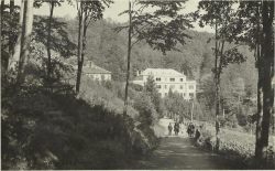 Sanatorij Brestovac — 1933